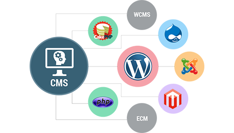 Web CMS Development